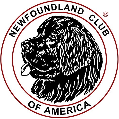 NCA Seal